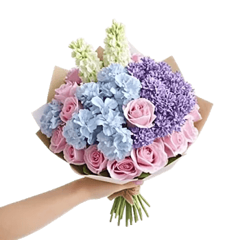 Serene Petal Harmony