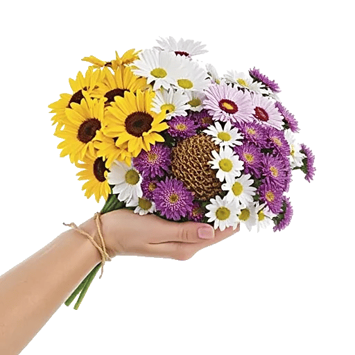 Fresh Meadow Blooms