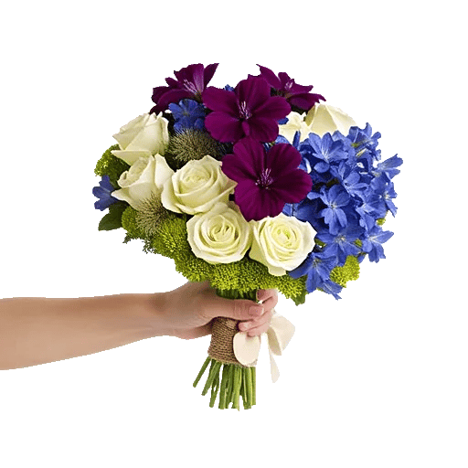 Blossom Petal Serenity