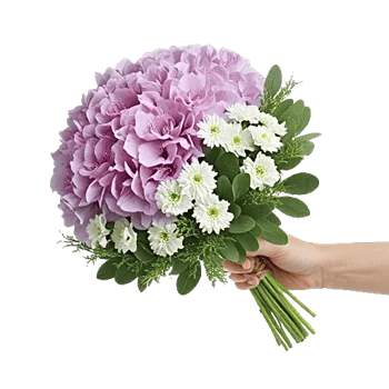 Lavender Bloom Grace