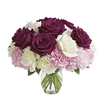 Petal Radiance Bliss