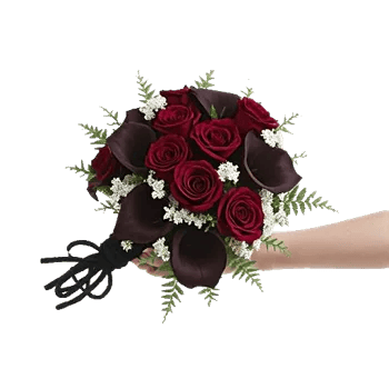 Elegant Calla Lilies