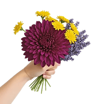 Crimson Blossom Harmony