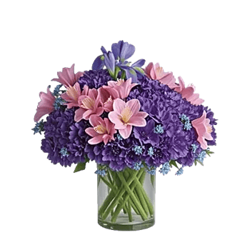 Ivory Blossom Radiance