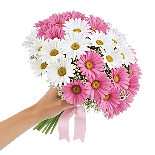 Delicate Petal Cascade