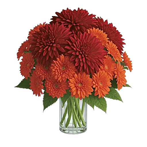 Crimson Blossom Harmony