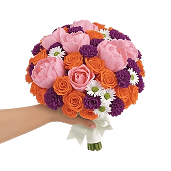 Peony Petal Harmony