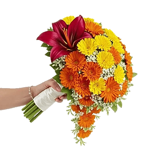 Delicate Petal Cascade