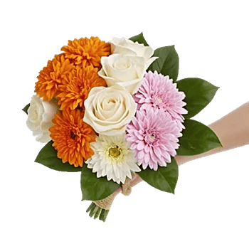 Vibrant Orange Delight