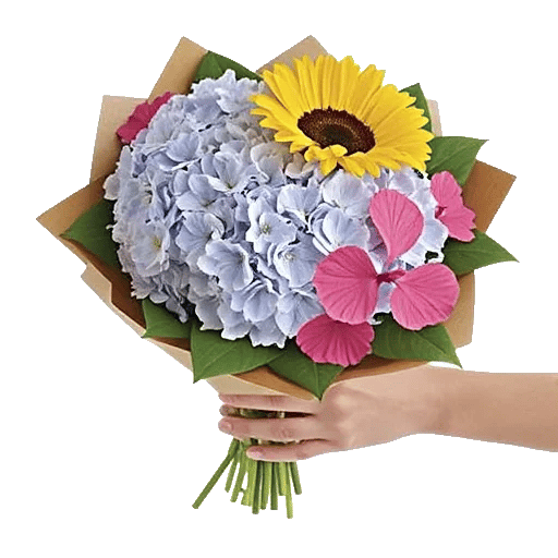 Serene Petal Harmony