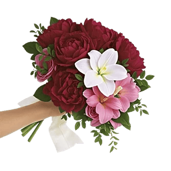 Delicate Petal Cascade
