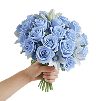 Elegant Blue Roses