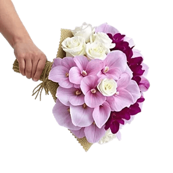 Orchid Bloom Cascade