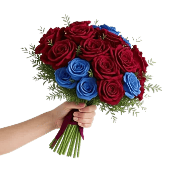 Crimson Rose Elegance