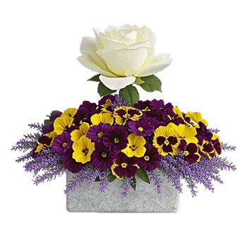 Delicate Petal Cascade