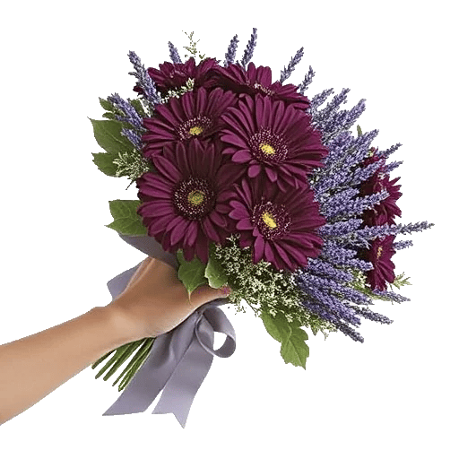 Silken Petal Array