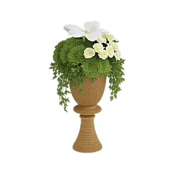 Ivory Blossom Radiance