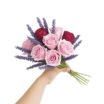 Pink Pastel Roses