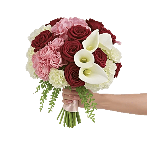 Ivory Blossom Radiance