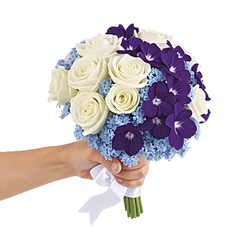 Blossom Petal Serenity