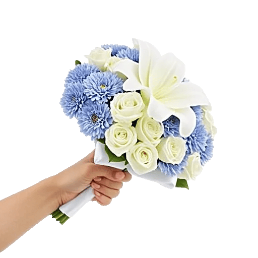 Blossom Petal Serenity