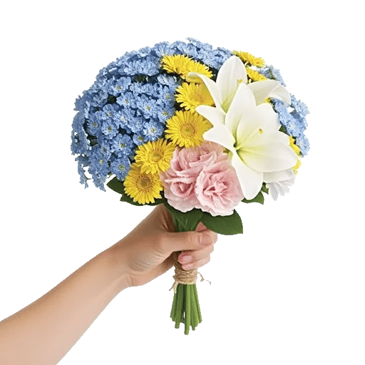 Serene Petal Harmony