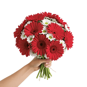 Petal Harmony Bliss
