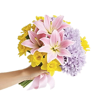 Blossom Harmony Display