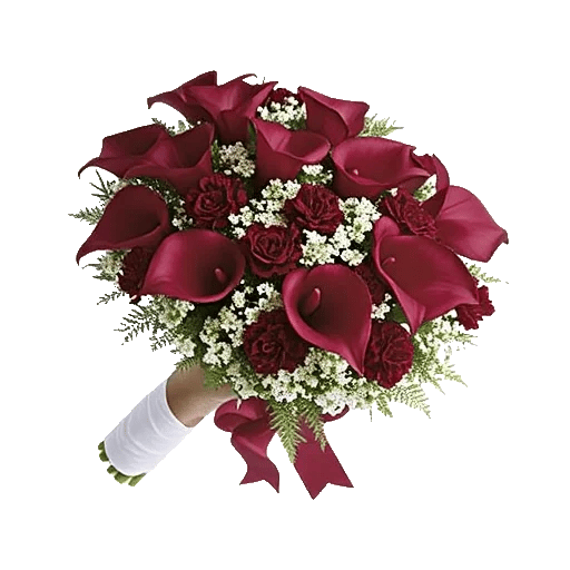 Elegant Calla Lilies