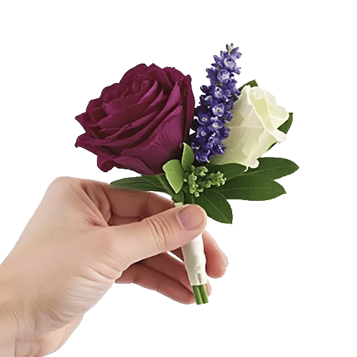 Plum Blossom Radiance