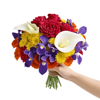 Elegant Calla Lilies