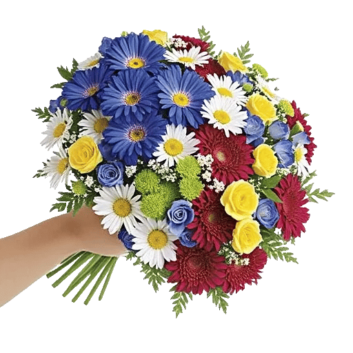 Blossom Petal Serenity