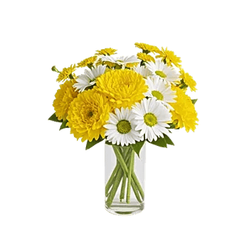 Delicate Petal Cascade