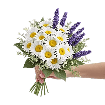 Blossom Harmony Display