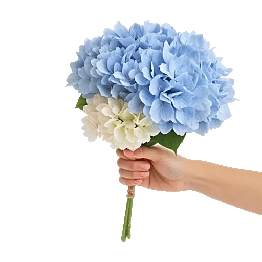 Serene Garden Harmony