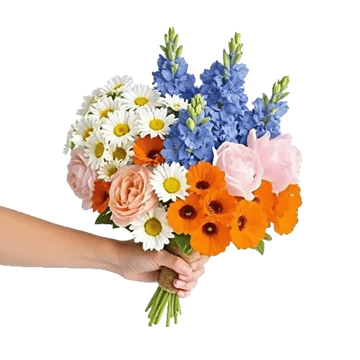 Petal Harmony Bliss