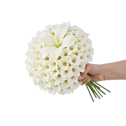 Delicate Petal Cascade