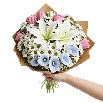 Elegant Calla Lilies