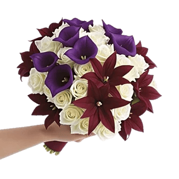 Elegant Calla Lilies