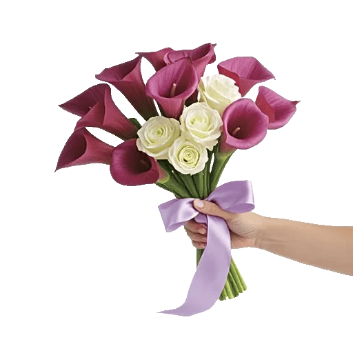 Elegant Calla Lilies