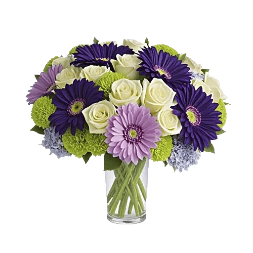 Ivory Blossom Radiance