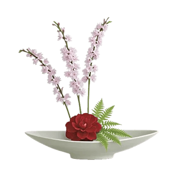 Blossom Petal Serenity