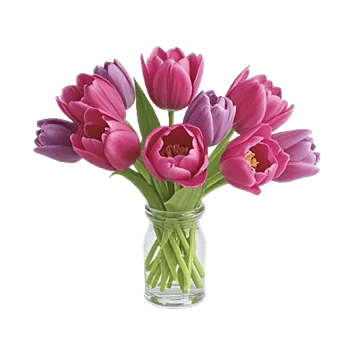 Velvet Tulip Display