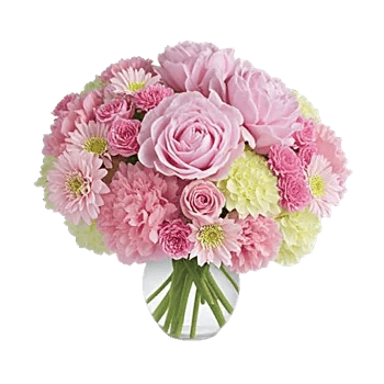 Petal Radiance Bliss