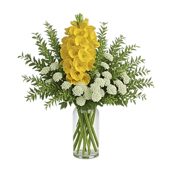 Ivory Blossom Radiance