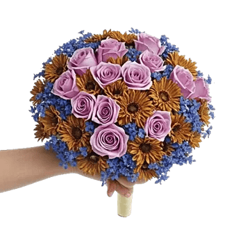 Blushing Rose Symphony