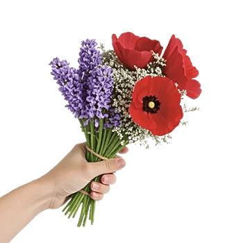 Rosemary Bloom Elegance