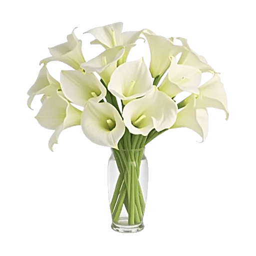 Graceful Lily Display