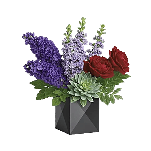 Modern White Orchids