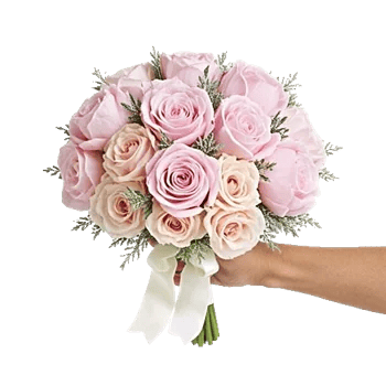 Pastel Pink Roses